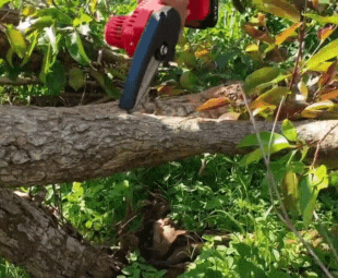 Cuts Logs in Seconds